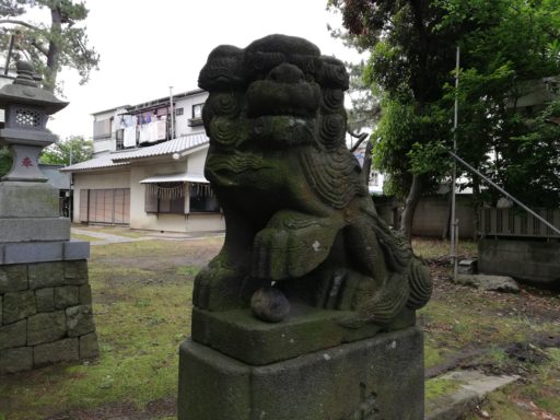 新堀日枝神社　狛犬(玉取り)