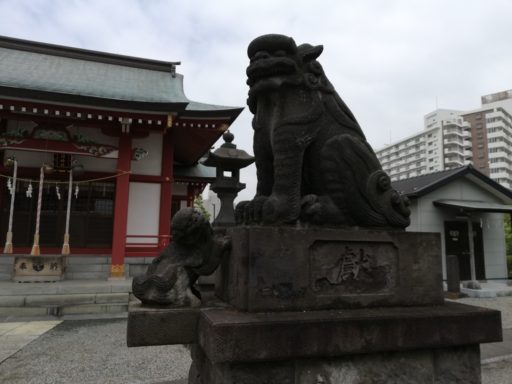 小松川神社　狛犬