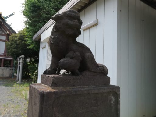 奥戸天祖神社　狛犬