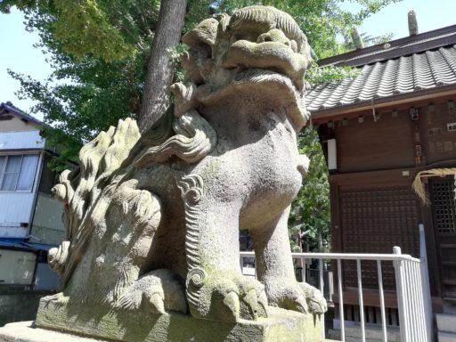 松本天祖神社　狛犬