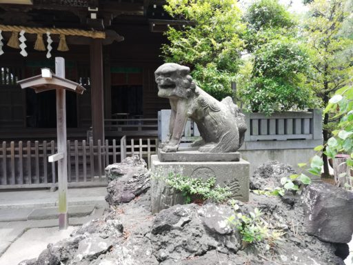 白幡天神社　狛犬