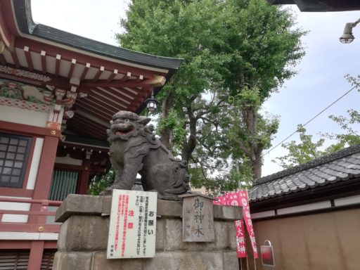 平井諏訪神社　狛犬