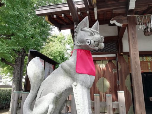飛木稲荷神社の狛狐
