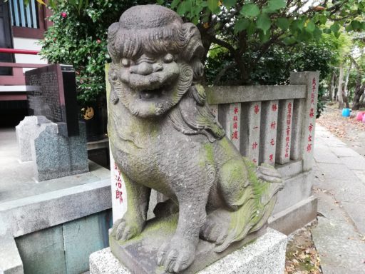 東墨田白髭神社の狛犬(右)