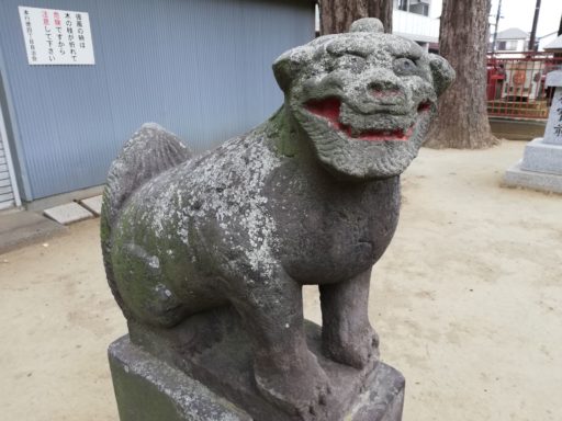 本行徳神明社の狛犬(左側)