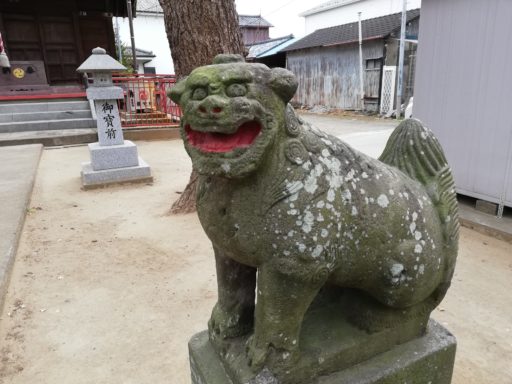 本行徳神明社の狛犬