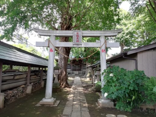 国分日枝神社の鳥居