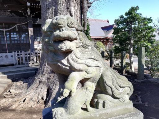 国分日枝神社の狛犬(子取り)