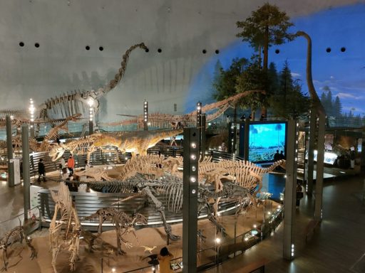 福井県立恐竜博物館 内部
