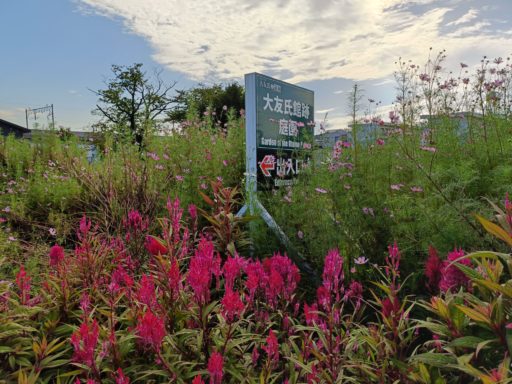 大友氏館跡 庭園の看板と秋の花