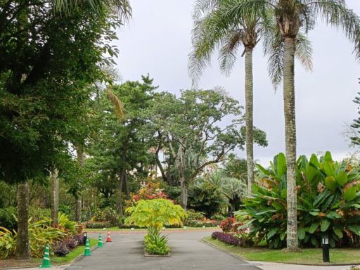 宮交ボタニカルガーデン青島