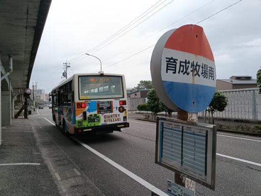 育成牧場南バス停