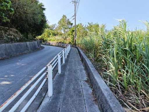 急な上り坂。右側はさとうきび畑