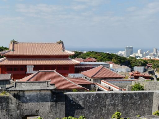 西のアザナからの眺め