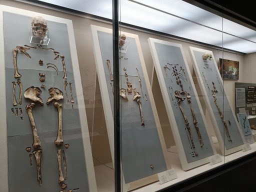 滝川人１号から４号