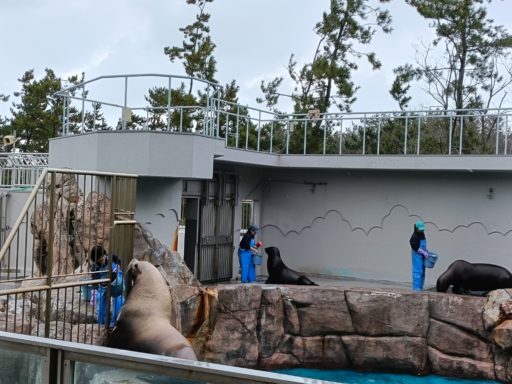 マリンサファリ給餌解説