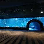 マリンピア日本海 大水槽