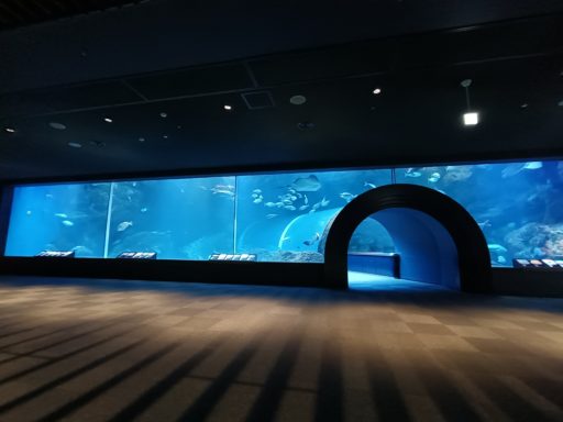 マリンピア日本海 大水槽
