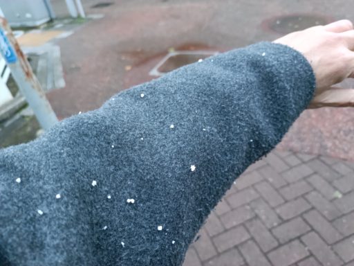 霰(あられ)でしょうか